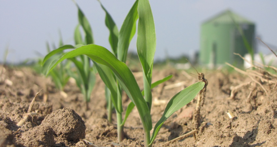 Quale futuro per l’agricoltura ?