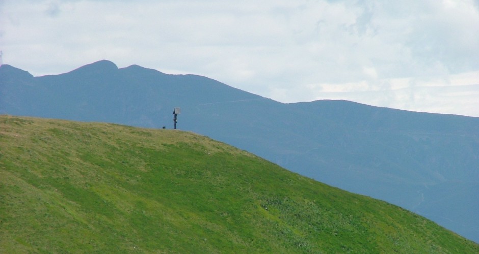 UN MONDO SEMPRE PIÙ VERDE