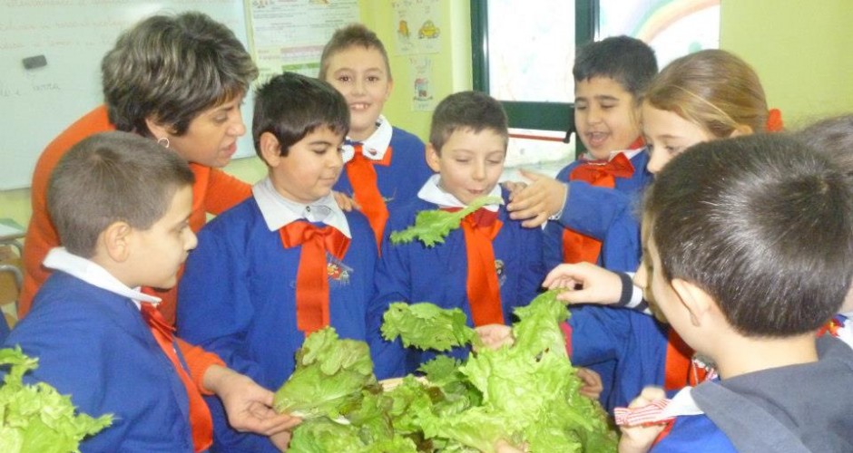 La scuola della terra