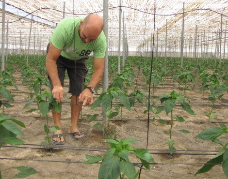 La nuova agricoltura dei Mercati del Contadino