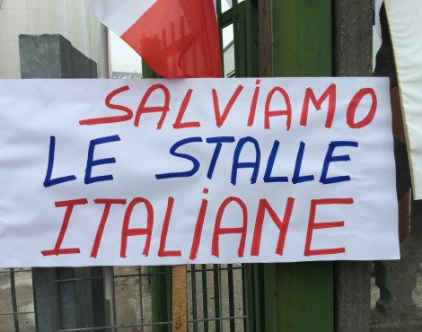 Latte italiano? Se lo dice l’etichetta…