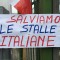 Salviamo il latte italiano