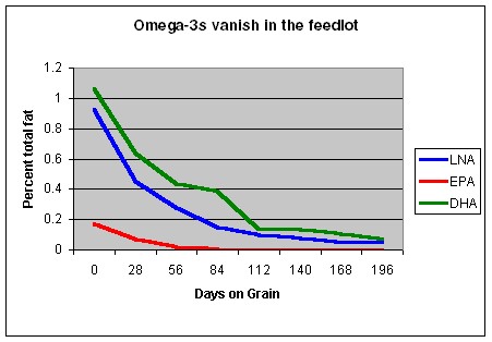 omega 3