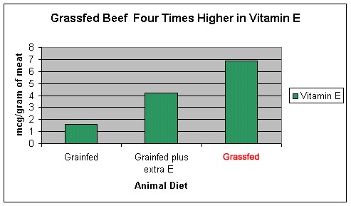 vitamina E