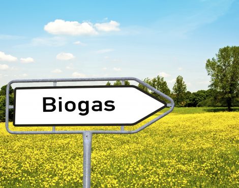Con il biogas si semplifica l’uso dei reflui zootecnici