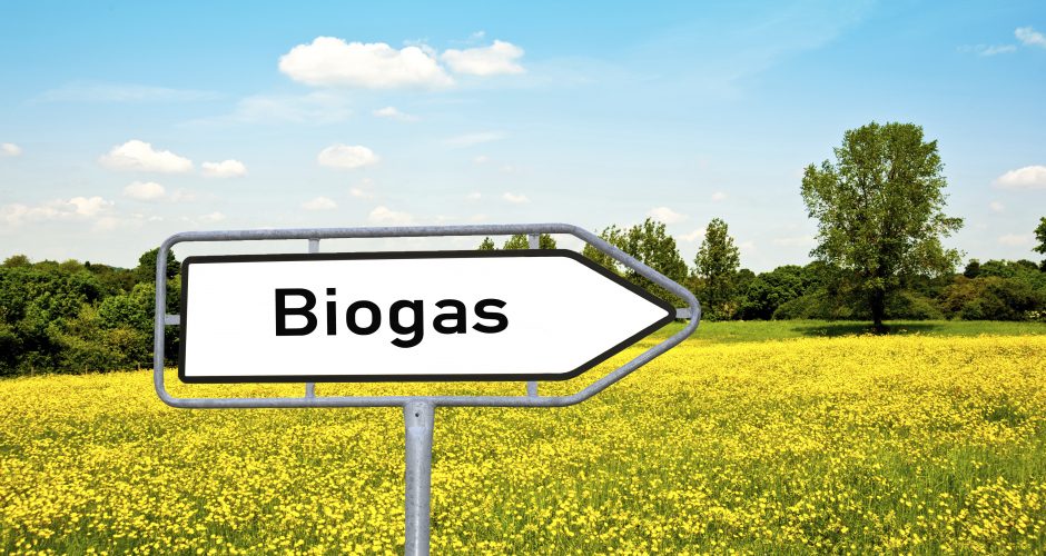 La caccia alle streghe sul biogas agricolo