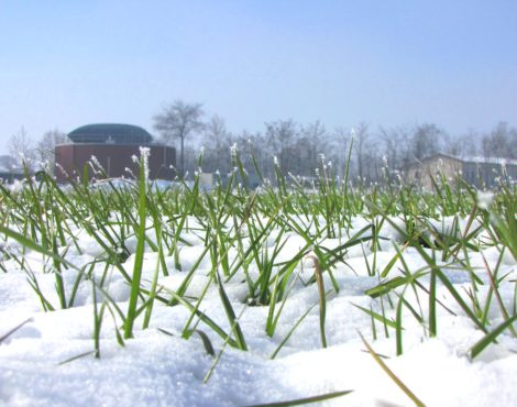 Quale futuro per l’agricoltura ?