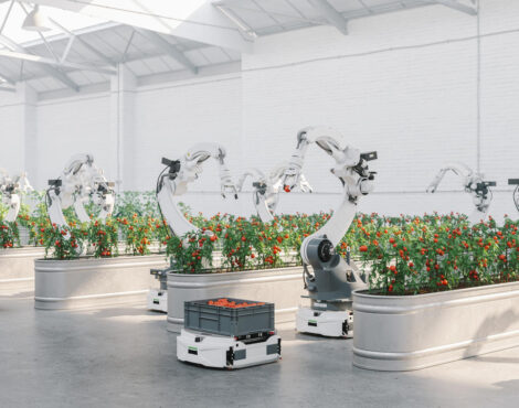 agricoltura e robot